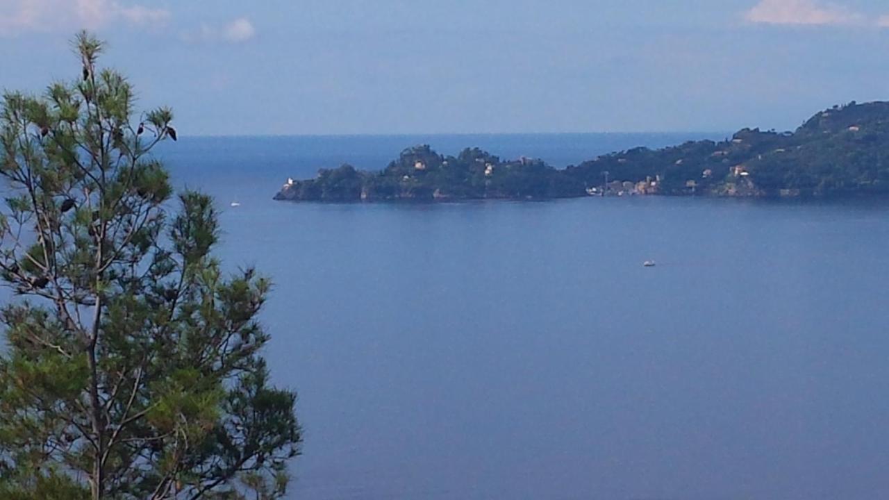 Vicino A Portofino E Alle Cinque Terre - Near Portofino And Cinque Terre Дзоальи Экстерьер фото